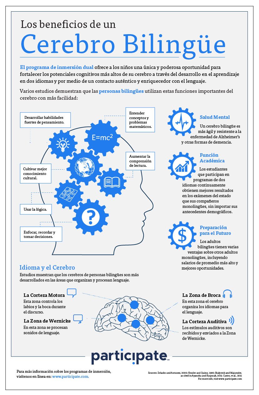 Bilingual Brain infographic in Spanish