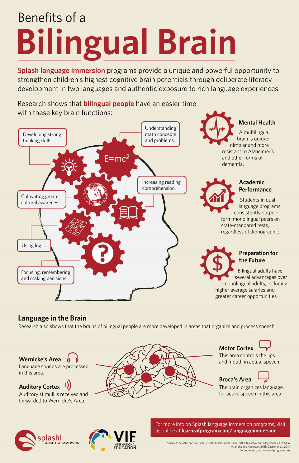 Bilingual Brain infographic in English